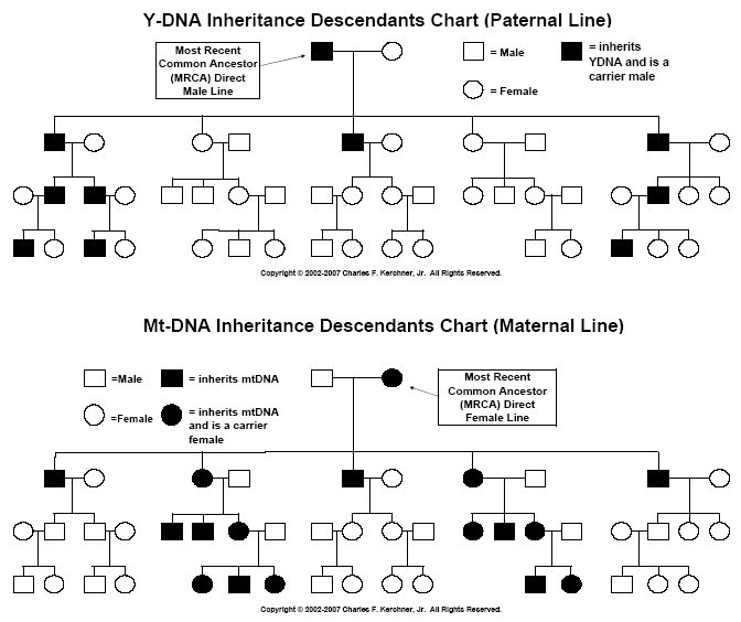 [Inheritance Chart]