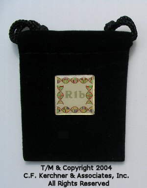 Y-DNA Pin