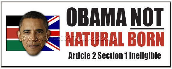 Bumper Sticker