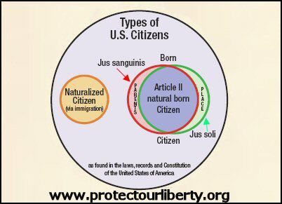 NBC Venn Diagram