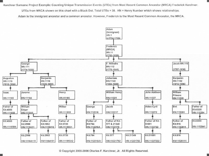 Most Recent Common Ancestor Chart