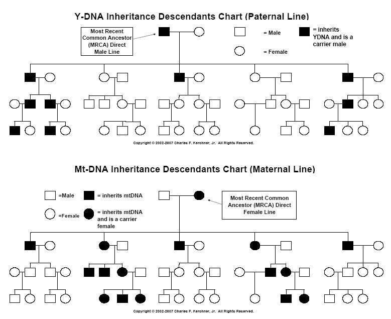 [Inheritance Chart]