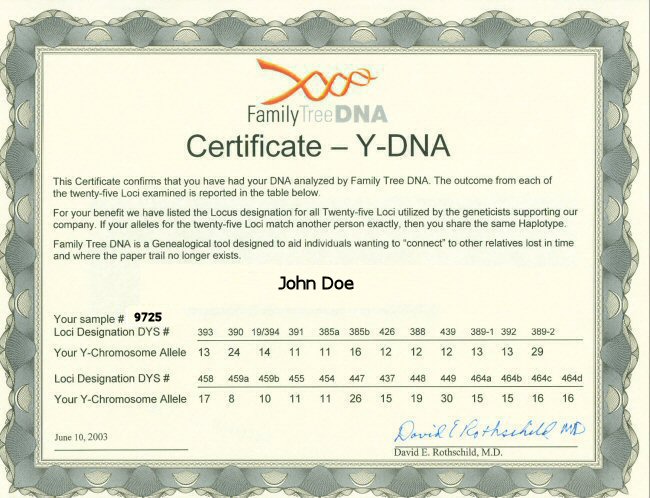 [Y-DNA Certificate]